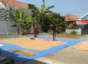 Babinsa Koramil 0826-10 Waru Bantu Warga Jemur Padi di Dusun Tampojung Guwa