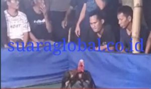 Masih Maraknya Dugaan Perjudian Di Wilayah Sugihwaras Bagor Nganjuk