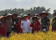 Mojokerto Catat Peningkatan Produksi Padi, Bupati Al Barra Optimis Capai Target Swasembada Pangan