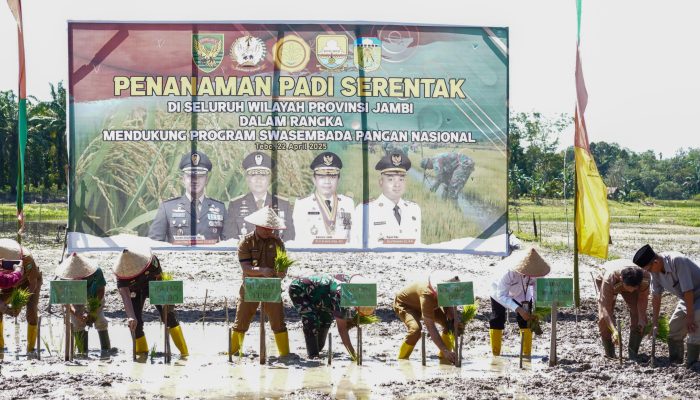 Komitmen Sukseskan Program Swasembada Pangan Nasional, Kodim 0416/Bute Ikuti Penanaman Padi Serentak Se-Provinsi Jambi