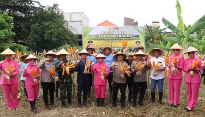 Polres Pelabuhan Tanjung Perak panen Raya jagung tahap 7 Perkuat Ketahanan Pangan menuju Indonesia Emas