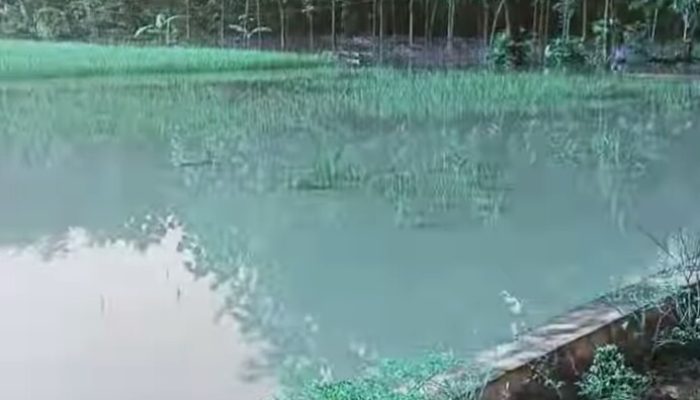Banjir Terjadi Di Jalan Poros Desa Medalem Dan Sumberagung Kecamatan Modo Lamongan