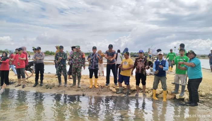 Perhutani Madura Bersama LMDH Melakukan Penanaman Bersama Bibit Mangrove Di Pamekasan