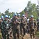 Satgas BGC 39-F Monusco bersama masyarakat Kongo Gelar Panen Raya Semangka hasil Pelatihan Pertanian