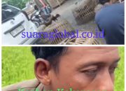 Praktik Judi Picu Kekerasan di Magetan, Warga Desak Aparat Bertindak Tegas