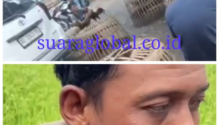 Praktik Judi Picu Kekerasan di Magetan, Warga Desak Aparat Bertindak Tegas