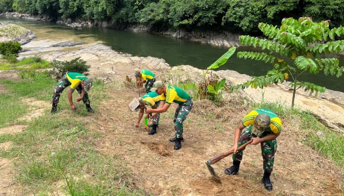 Ketahanan Pangan di Perbatasan, Satgas Pamtas Yonarmed 11 Kostrad Tanam Sayuran di Lahan Pos