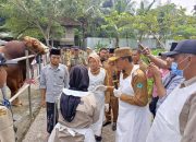 Bupati Pamekasan Apresiasi Komitmen Peternak Lokal Presiden RI Pesan Sapi Kurban ke Katondur Farm