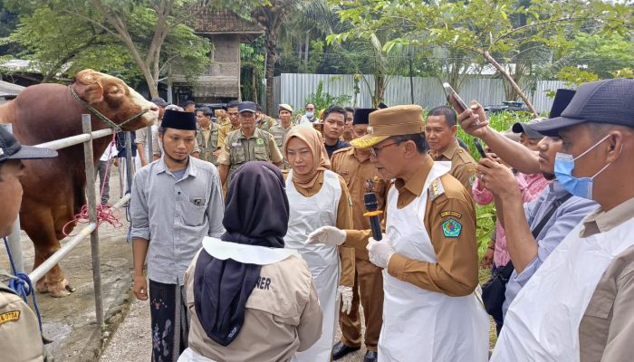 Bupati Pamekasan Apresiasi Komitmen Peternak Lokal Presiden RI Pesan Sapi Kurban ke Katondur Farm