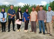 Dit SBLDP dan Kementerian Desa Kunjungi Agro Wisata Buah Naga Desa Sei Sijenggi