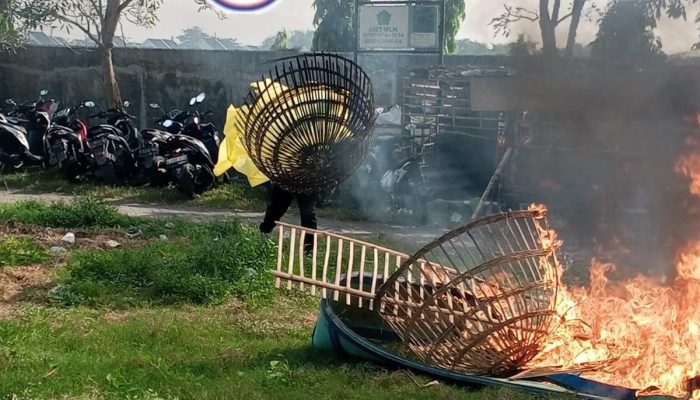 Polisi Bongkar Arena Judi Sabung Ayam di TPS Ngaglik Sidoarjo