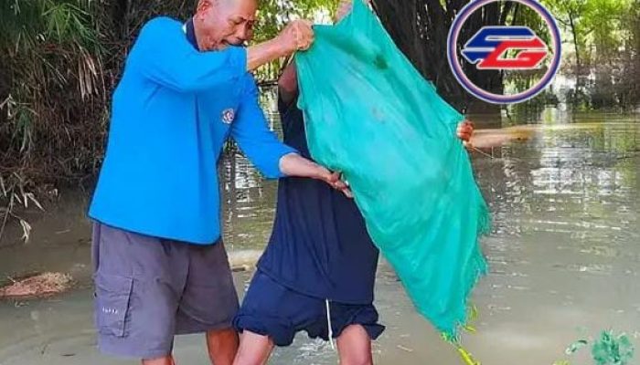 Gegara Terendam Banjir Cabai di Tuban Tidak Laku Dijual Terpaksa Hasil Panen Dibuang