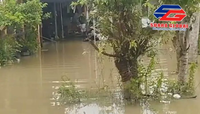 Tingginya Curah Hujan Membuat 5 Desa Di Kabupaten Lamongan Terendam Air