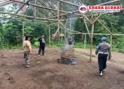 Diduga Pembongkaran Arena Sabung Ayam Ada informasi Yang Bocor