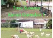 Fenomena Langka Terjadi di Desa Gumulan Kesamben Jombang Perangkat Desa Mangkir dari Tugas Saat Jam Kerja