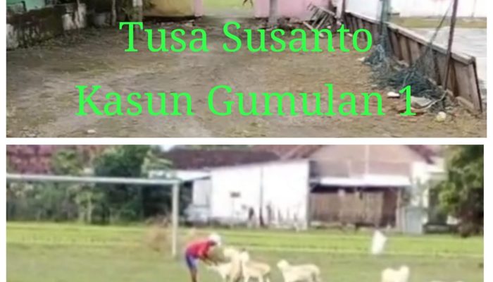 Fenomena Langka Terjadi di Desa Gumulan Kesamben Jombang Perangkat Desa Mangkir dari Tugas Saat Jam Kerja