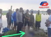 Petugas Pengairan Tewas Tersengat Jebakan Tikus Beraliran Listrik di Taji Maduran