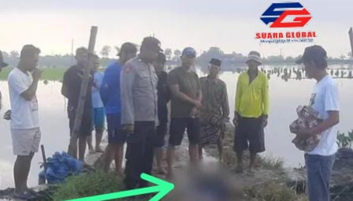 Petugas Pengairan Tewas Tersengat Jebakan Tikus Beraliran Listrik di Taji Maduran