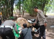 Polres Jember Komitmen Tindak Tegas Segala Bentuk Perjudian