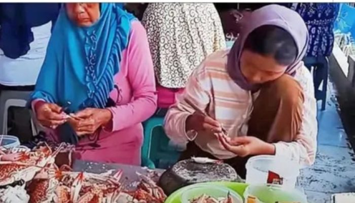 Kegiatan Warga Paciran Mengupas Rajungan (Nguplik) Di Lamongan