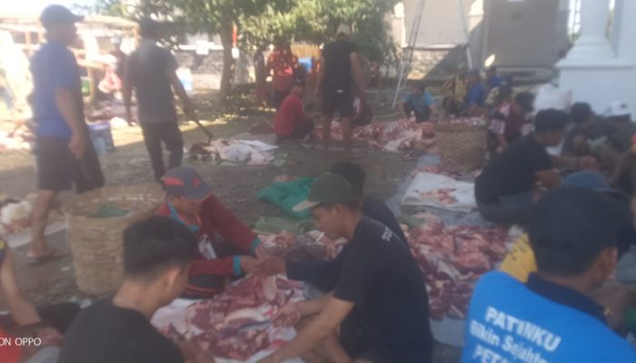 Masjid Darul Falihin Desa Kemlagilor Laksanakan Pemotongan Hewan Kurban