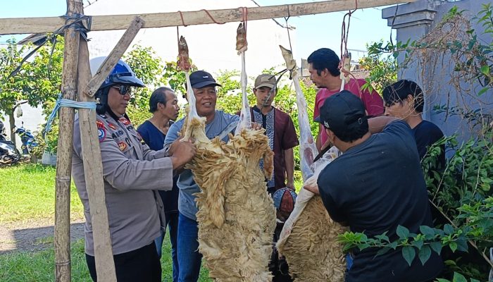 Tradisi Qurban Bhabinkamtibmas Polisi Viral Yang Luar Biasa