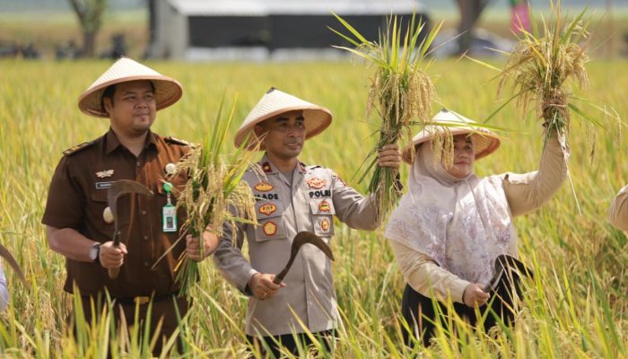 Wakapolres Lamongan Hadiri Kunjungan Kerja Pangdam V/Brawijaya dan Gubernur Jatim di Kampung Pandu Kodim 0812 Lamongan