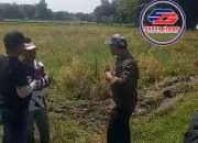Sengketa Lahan Sawah Milik Sukartini Desa Wirowongso Kecamatan Ajung