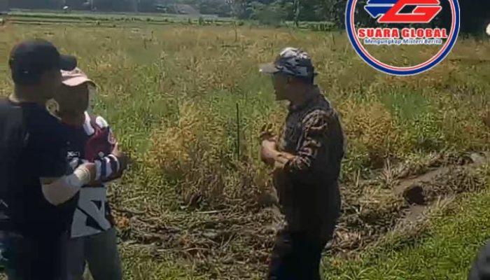 Sengketa Lahan Sawah Milik Sukartini Desa Wirowongso Kecamatan Ajung