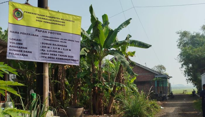 Pembagunan Jalan Usaha Tani (JUT) untuk Tingkatkan Kesejahteraan Petani Desa Kembangringgit
