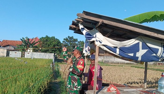 Babinsa Desa Panempan Serda M Hidayat Bantu Petani Usir Hama Burung