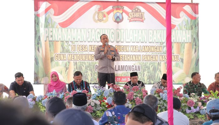 Dukung Ketahanan Pangan Nasional, Kapolres Lamongan Tanam Jagung di Lahan Baku Desa Kedali