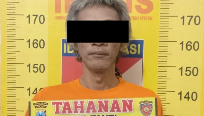Polres Malang Bongkar Bandar Sabu dan Kebun Ganja di Tumpang