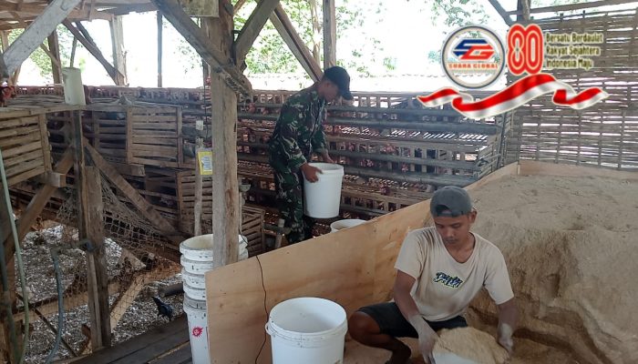 Babinsa Duko Timur Dukung UMKM Dampingi Warga Beternak Ayam Petelur