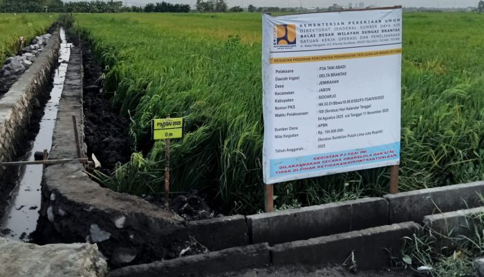 Proyek Pembangunan Saluran Irigasi Tidak Sesuai Spesifikasi Diduga Ada Konspirasi P3A Desa Jemirahan Dan Pihak Ketiga