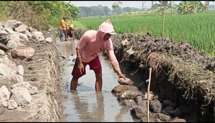 P3A Tirta Asri Desa Trompoasri Kerjakan Proyek Saluran Irigasi Asal Asalan