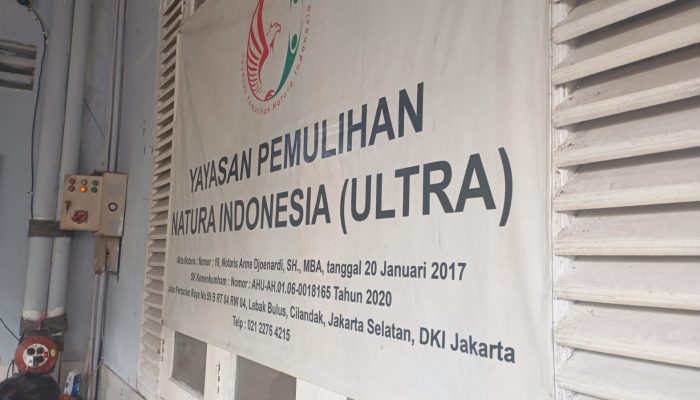 Bisnis Gelap Berkedok Yayasan Rehabilitas Positif Pengguna Narkoba