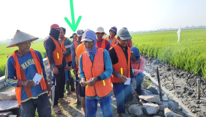 Dugaan Penyalahgunaan Wewenang Dan Bungkamnya Kades Semambung Kecamatan Jabon Terkait Kepengurusan Hippa Tani Rejo Dalam Pelaksanaan P3TGAI