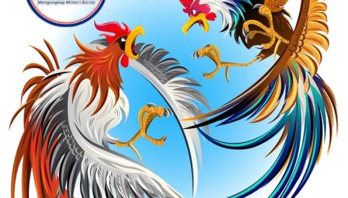 Perjudian Marak di Tarokan  Warga Menjerit – Polisi Pilih Bungkam