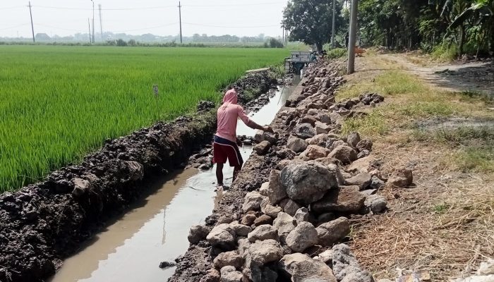 Mengapa Oknum Kasun Trompo Kulon Dan Ketua P3A Tirta Asri Melakukan Kebohongan Publik Tentang P3TGAI