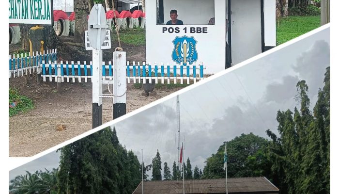 Penerimaan Security Di PT PP LONSUM Bah Bulian di Duga Praktek Suap serta Nepotisme Tidak Berani Transparan