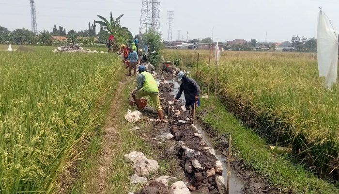 Konspirasi Jahat Dibalik Amburadulnya Pekerjaan Proyek Jaringan Irigasi P3TGAI Desa Mlirip Rowo
