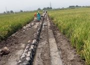 GALAKSI: Pemotongan Bantuan P3TGAI Rp 9.750.000 Dengan Modus BOP TPM Adalah Tindak Pidana Korupsi