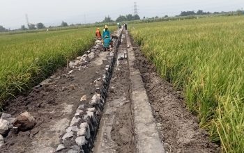 GALAKSI: Pemotongan Bantuan P3TGAI Rp 9.750.000 Dengan Modus BOP TPM Adalah Tindak Pidana Korupsi