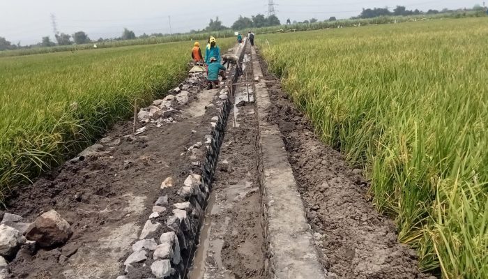 GALAKSI: Pemotongan Bantuan P3TGAI Rp 9.750.000 Dengan Modus BOP TPM Adalah Tindak Pidana Korupsi