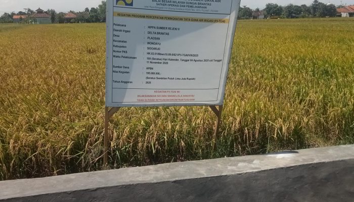 Cara Curang HIPPA Sumber Rejeki II Desa Plaosan Dalam Pelaksanaan P3TGAI