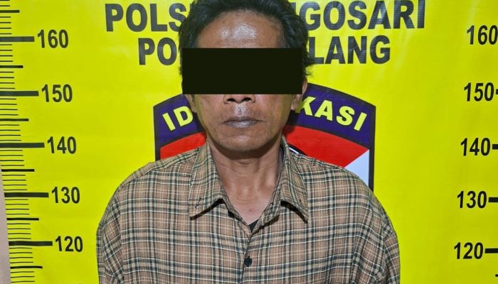 Gegara Diduga Curi HP Pria Paru Baya Diringkus Polisi