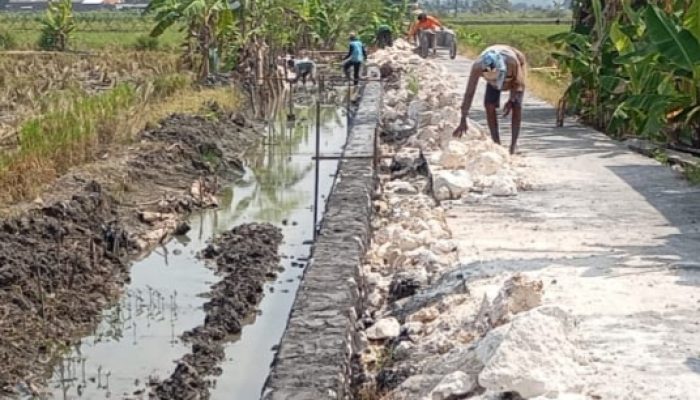 Manfaat Pembangunan TPT di Area Pertanian Maduran Sangat Dirasakan Petani