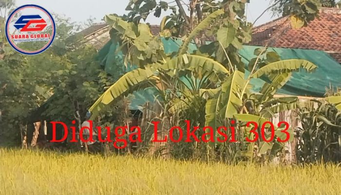Perjudian Sabung Ayam dan Dadu di Prambon Nganjuk Diduga Dikelola Mafia Kebal Hukum