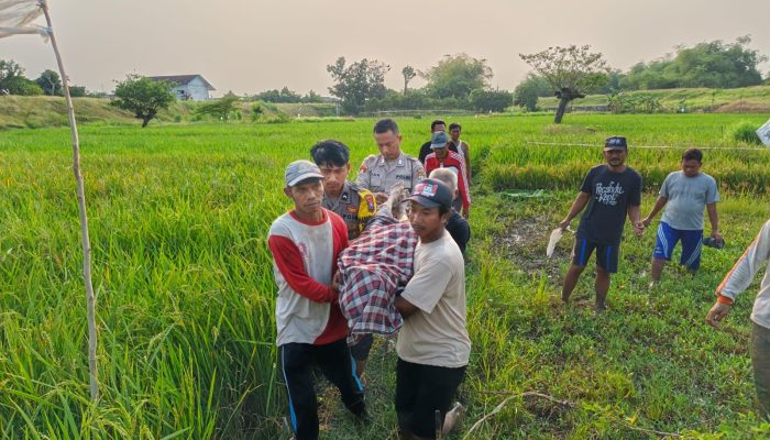 Polres Lamongan Evakuasi Korban Meninggal Dunia Di Duga Kesetrum Jebakan Tikus 